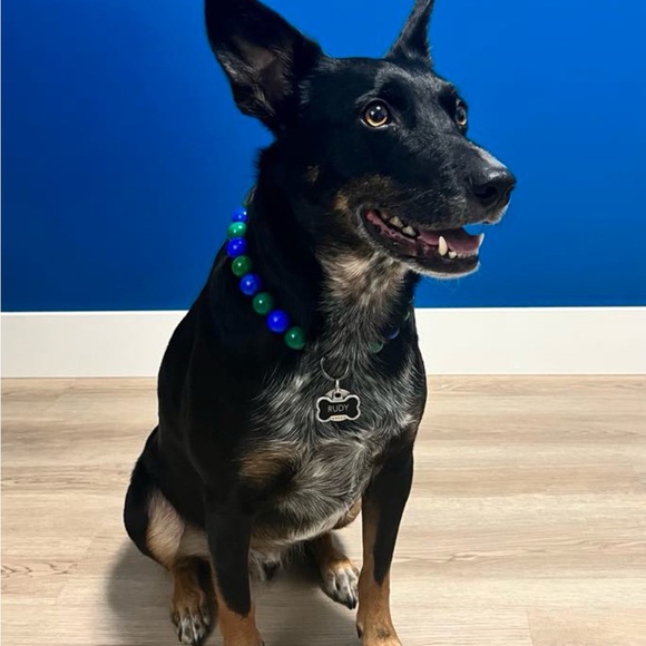 Handcrafted Beaded Dog Collar - Canuck - Blue and Green - Canucks Fan - Picture 3 of 15